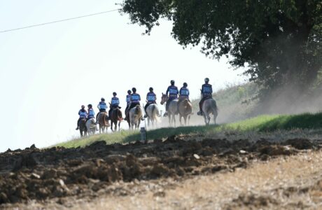 Zigulì FEI Endurance European Championship 2025il 21 giugno 2025 a Castiglione del Lago (Pg). 1 Zigulì FEI Endurance European Championship 2025