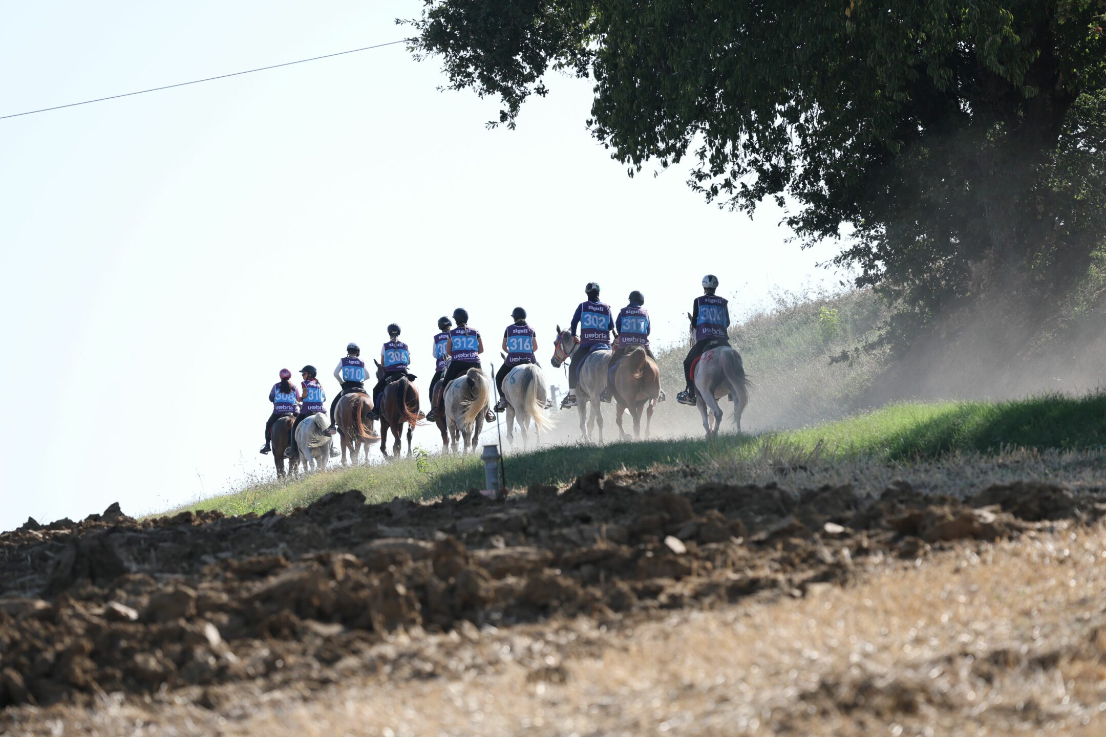 Zigulì FEI Endurance European Championship 2025