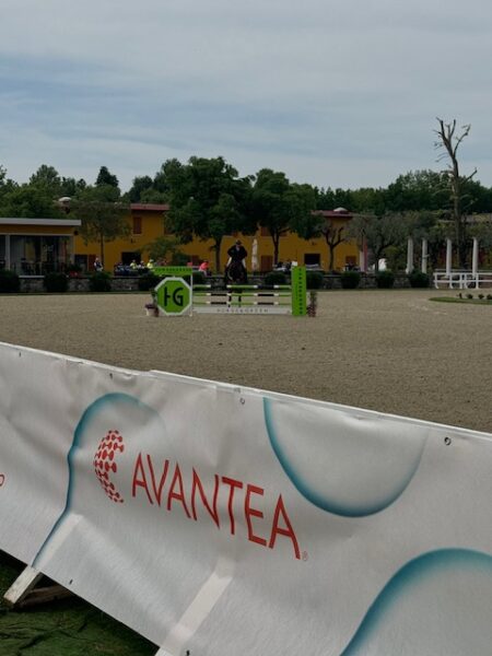 Un weekend da protagonisti per i giovani talenti del salto ostacoli. Giovani cavalli in prima linea. 23 Un weekend da protagonisti per i giovani talenti del salto ostacoli