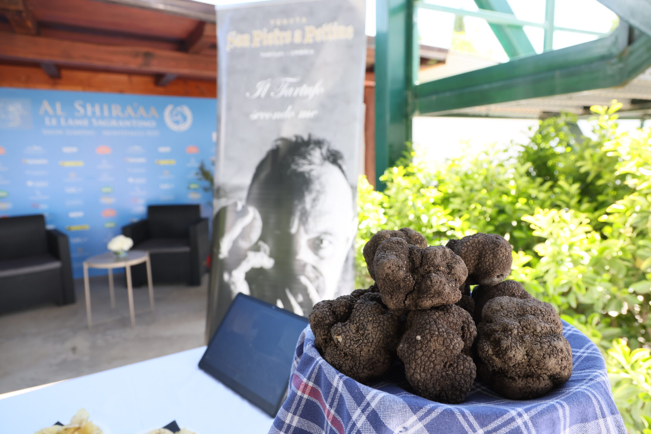 Sport, gusto e stile: il successo dell’Al Shira’aa Le Lame Sagrantino Show Jumping 2025 a Montefalco 9 IMG 9925
