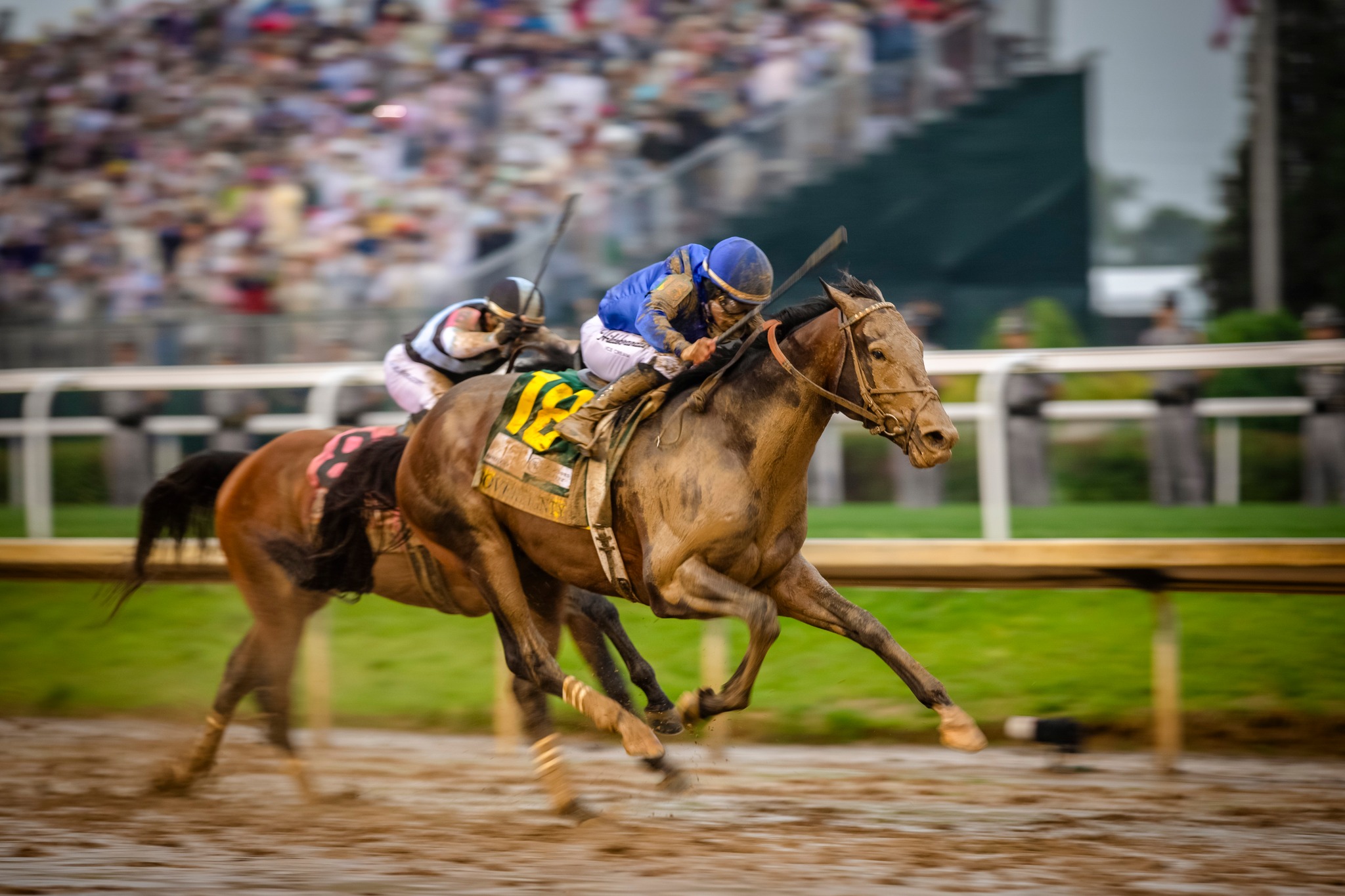 Kentucky Derby Sovereignty vince su Journalism