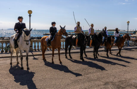 Blu Livorno e il cammino delle acque e del mare 1 Blu Livorno Cavalli in Piazza San Jacopo in Acquaviva