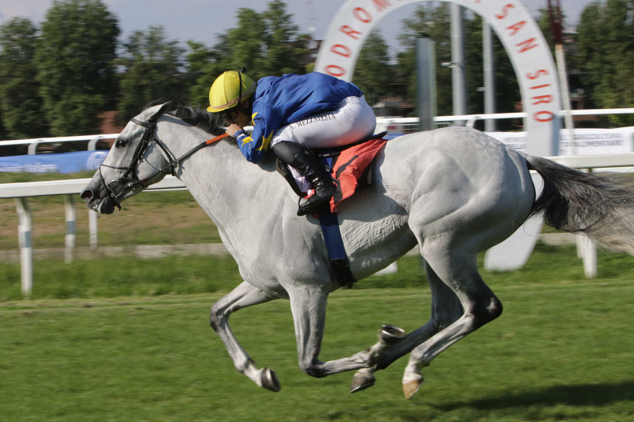 Milano, domenica 11 con super corse a San Siro 3 Milano PREMIO PAOLO MEZZANOTTE TAANY