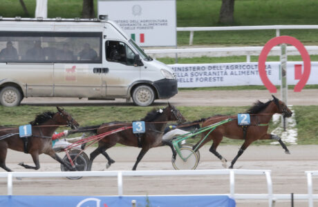 Milano PREMIO SHOWMAR