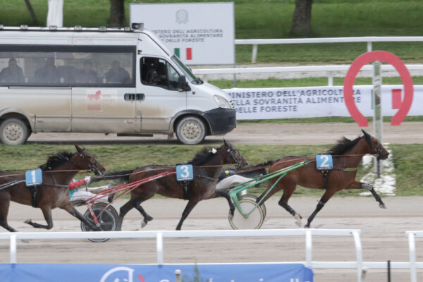 Milano PREMIO SHOWMAR