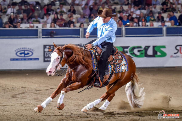 NRHA European Futurity
