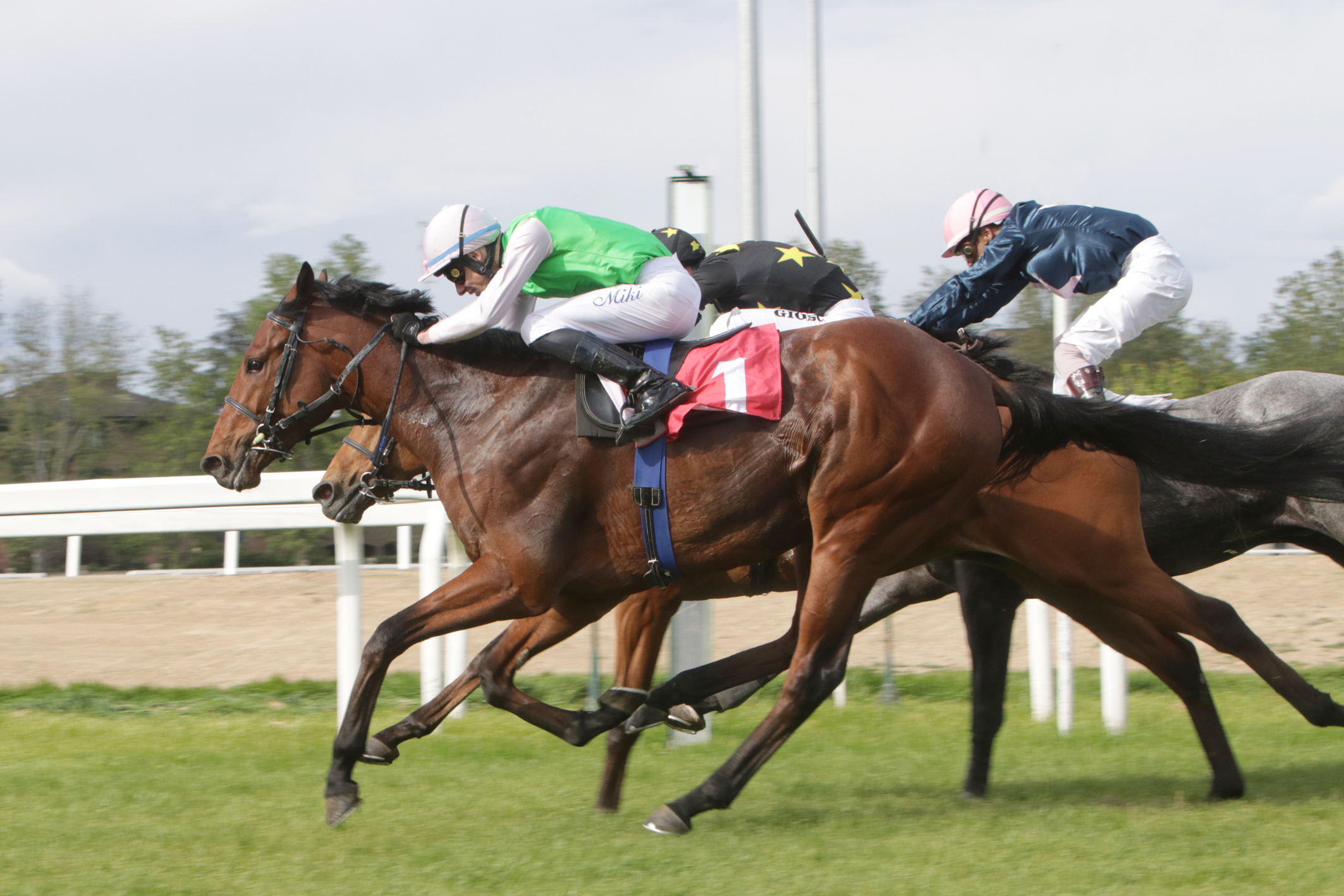 PREMIO EMANUELE FILIBERTO Trofeo TATTERSALLS BREEZE UP 2024 SNAI SAN SIRO MILANO