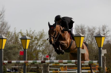 La FISE ha inoltrato le convocazioni per gli azzurri allo CSIO4* di Sopot 1 Gianluca Quondam su Caccbat