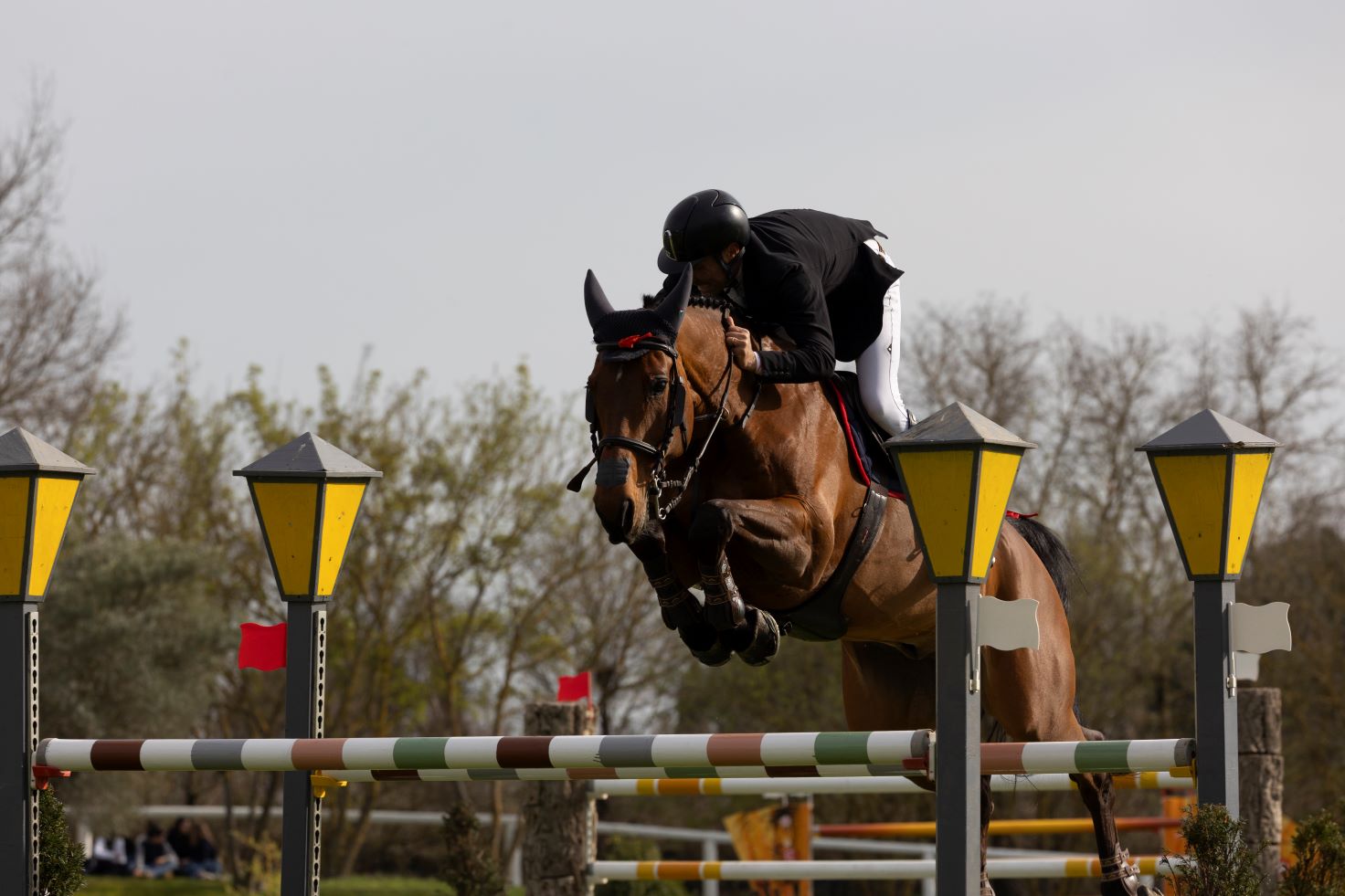 La FISE ha inoltrato le convocazioni per gli azzurri allo CSIO4* di Sopot 1 Gianluca Quondam su Caccbat