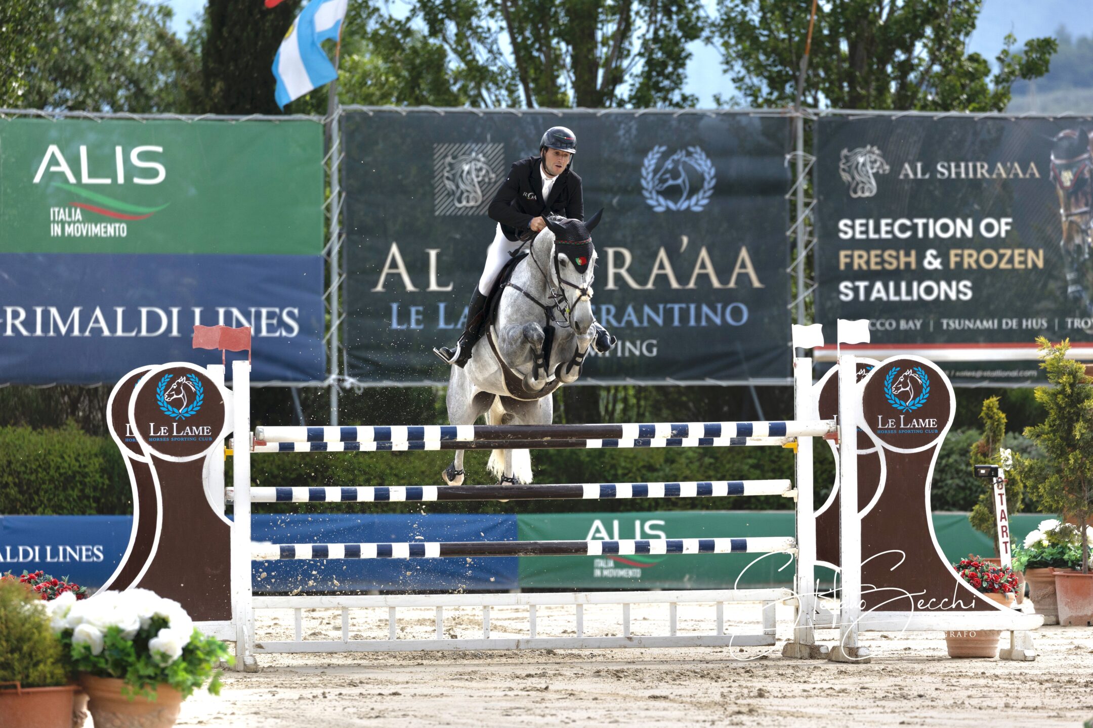 Rodrigo Giesteira Almeida conquista anche il secondo Gran Premio CSI4* dell’Al Shira’aa Le Lame Sagrantino Show Jumping 2025 1 Rodrigo Giesteira Almeida su Karonia c Stefano Secchi