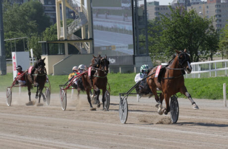 San Siro Trotto: il risultati del 2 maggio e il saluto a Enzo Giordano, proprietario di Varenne 1 San Siro DIVISIONE FEMMINE BREEDERS COURSE Corsa