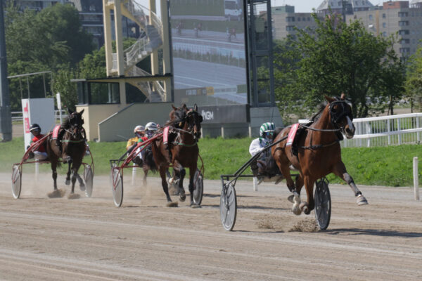 San Siro Trotto: il risultati del 2 maggio e il saluto a Enzo Giordano, proprietario di Varenne 12 San Siro DIVISIONE FEMMINE BREEDERS COURSE Corsa