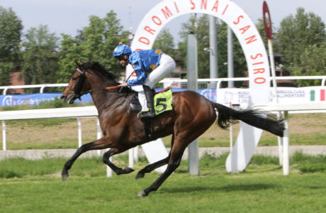 San Siro PREMIO EMANUELE FILIBERTO TATTERSALLS IRELAND BREEZE UP SALES ZAUBERKONIG