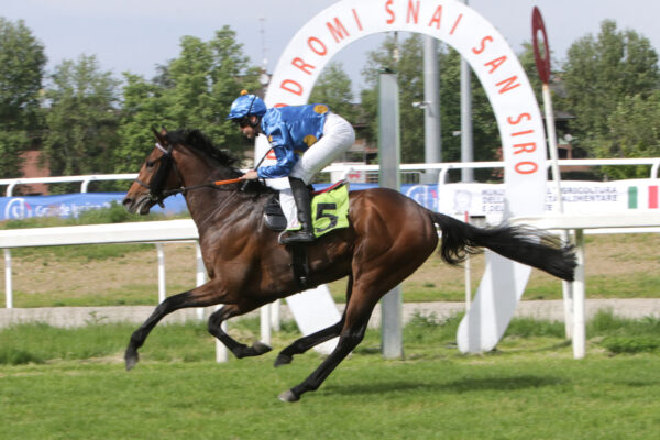 San Siro PREMIO EMANUELE FILIBERTO TATTERSALLS IRELAND BREEZE UP SALES ZAUBERKONIG