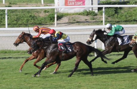 Ippodromo Snai San Siro: i puledri di 2 anni al debutto 1 San Siro PREMIO HANDICAP DI PRIMAVERA