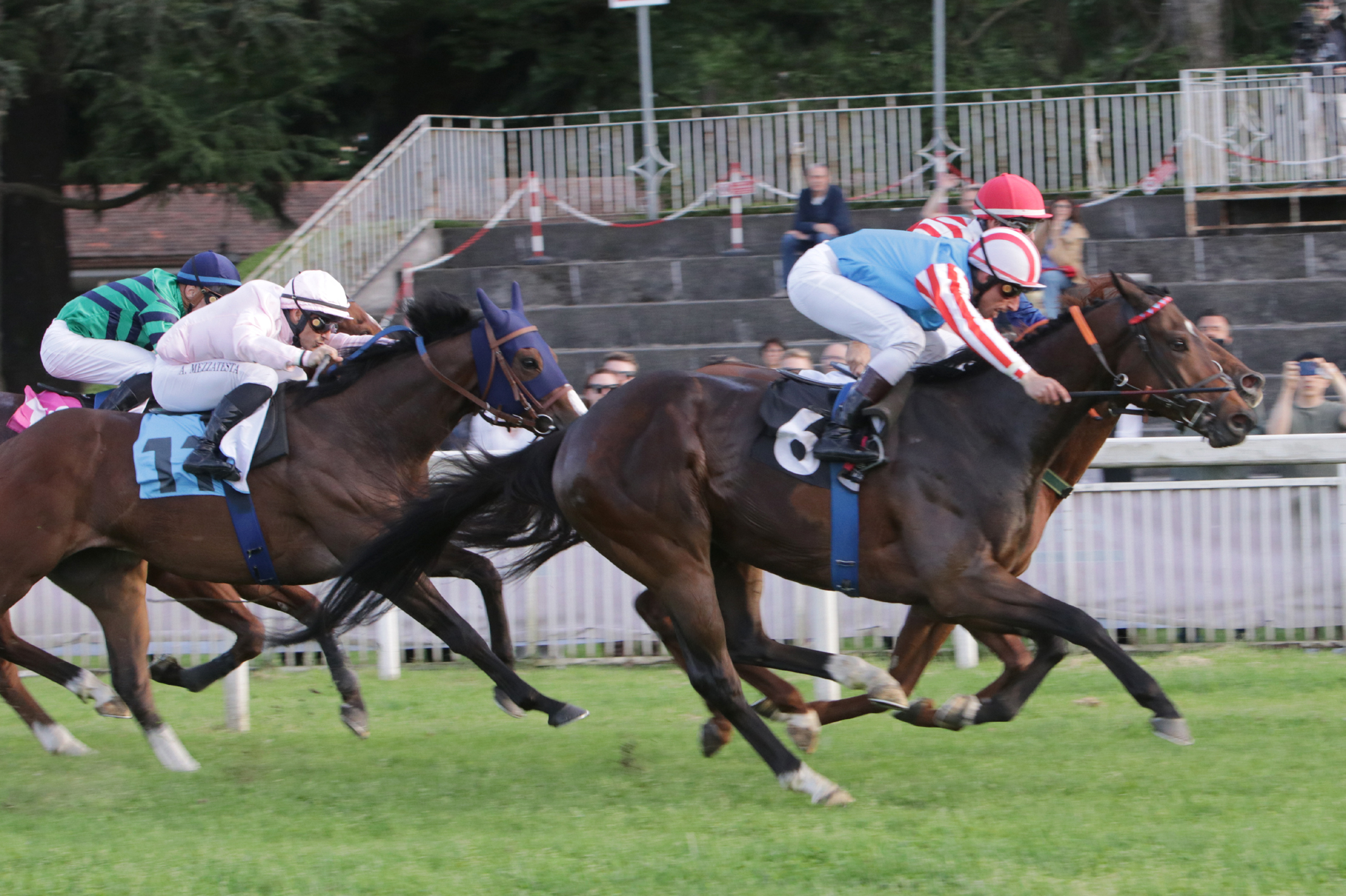 Snai San Siro, il tedesco Zauberkonig domina il Filiberto 3 San Siro PREMIO TATTERSALLS IRELAND BREEZE UP 22 23 MAGGIO