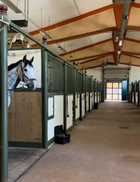 Scuderie del Garda: molto più di un centro equestre, un luogo da vivere 22 Scuderie del Garda