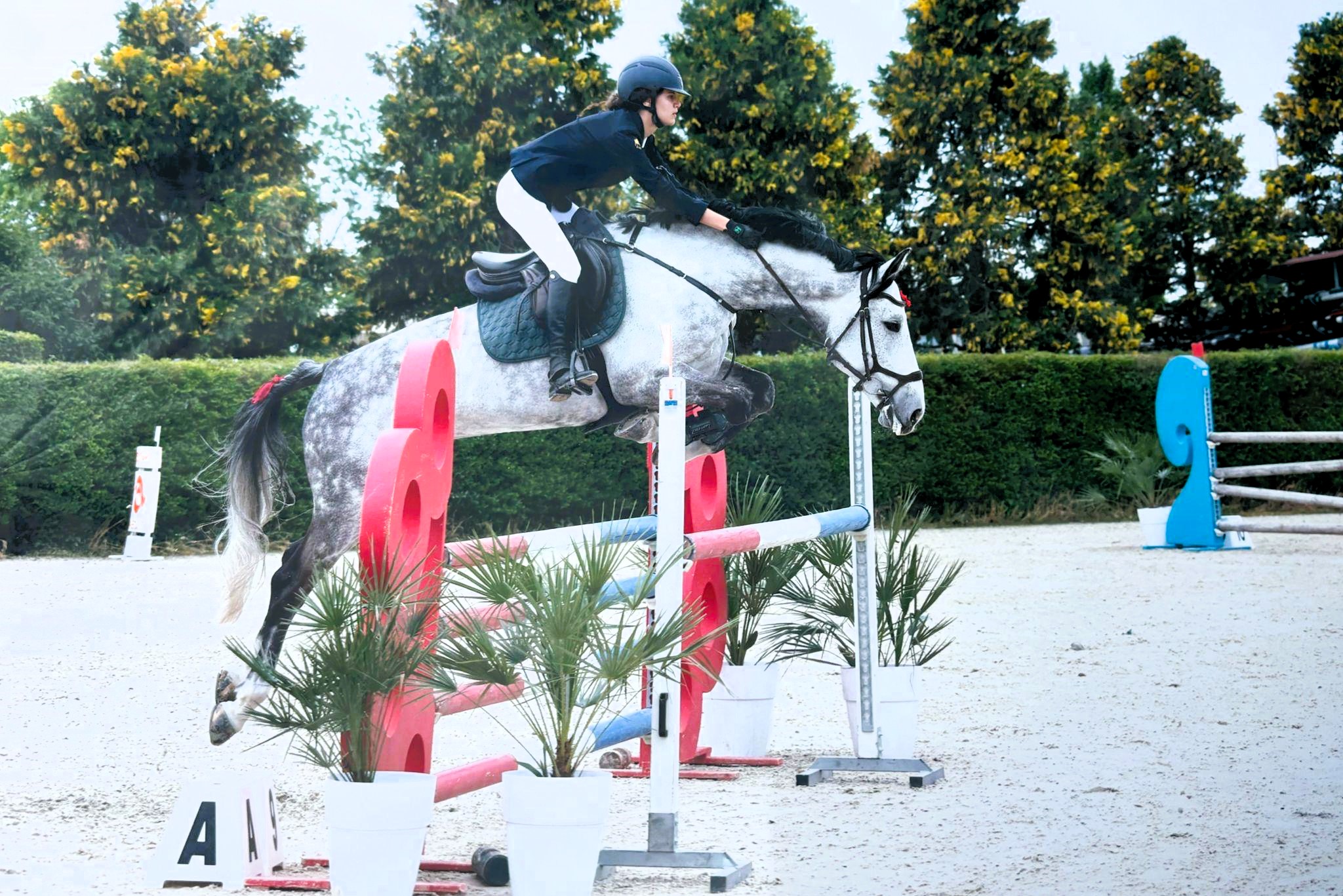Scuderie del Garda allieva in concorso