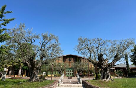 Il nuovo progetto educativo delle Scuderie del Garda: una formazione equestre completa e professionale 1 Scuderie del Garda ingresso