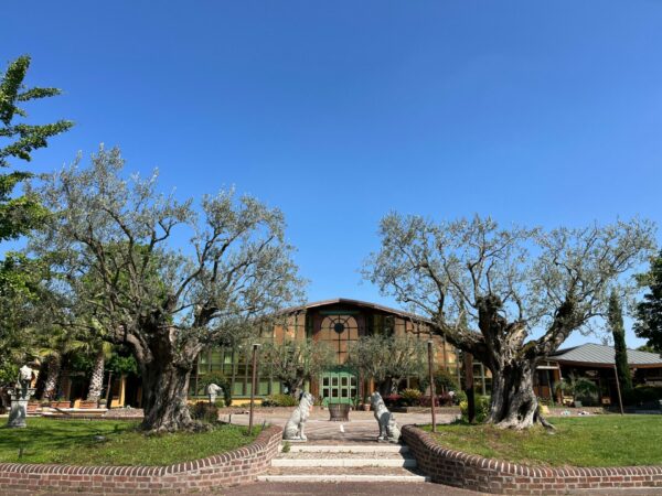 Scuderie del Garda ingresso