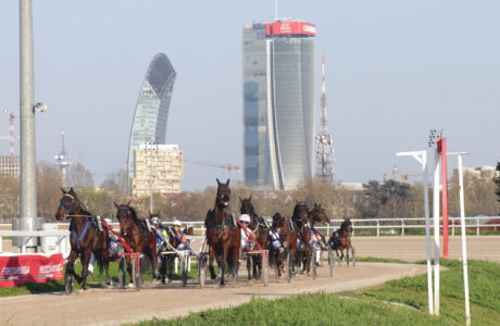 TROTTO IPPODROMO SNAI SAN SIRO