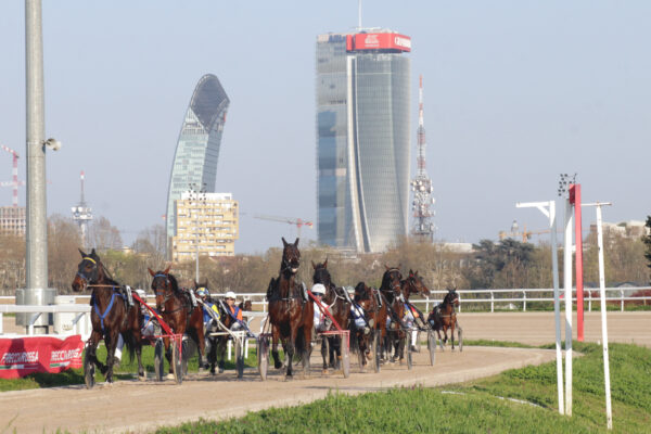 TROTTO IPPODROMO SNAI SAN SIRO