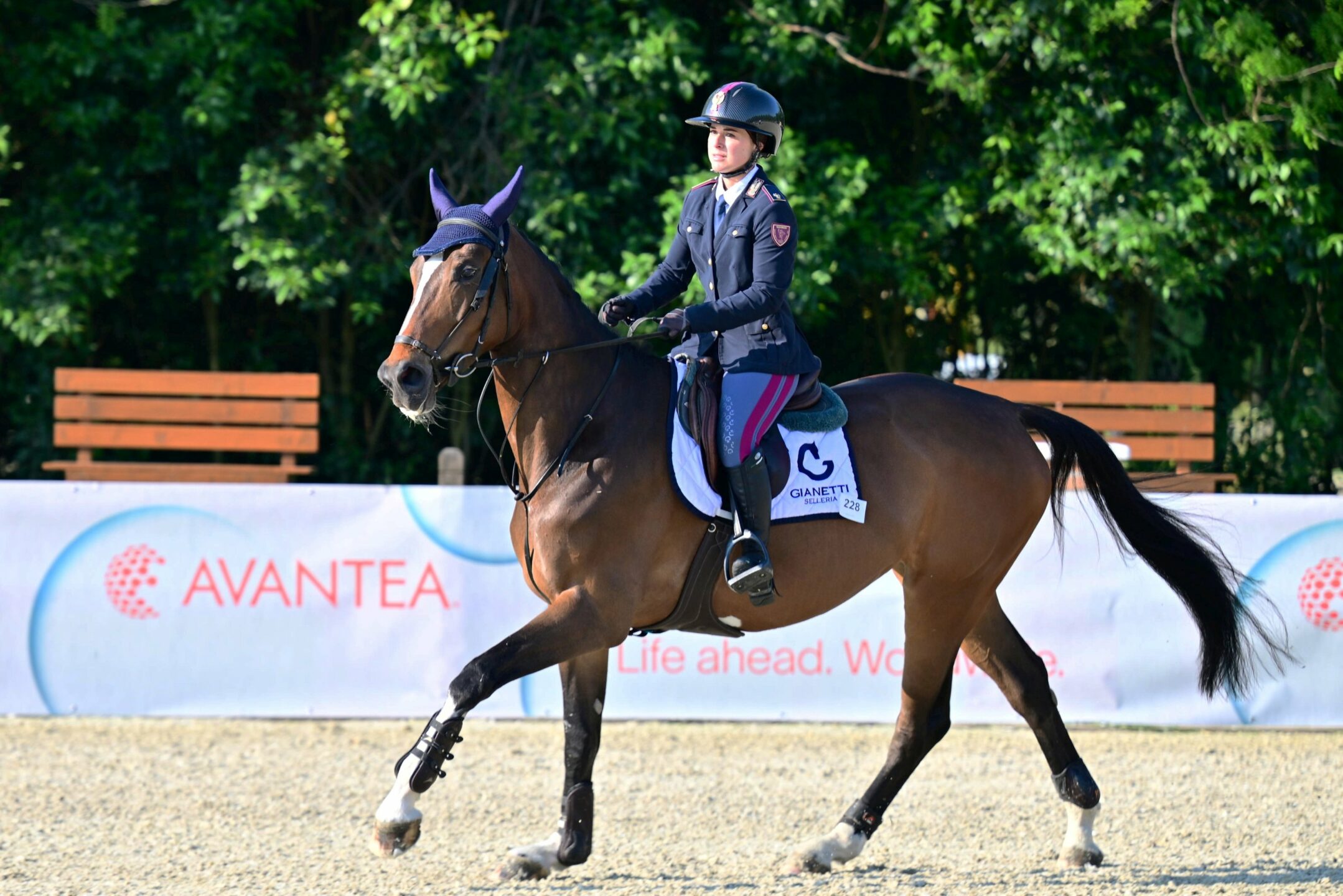I risultati della seconda tappa del circuito FISE cavalli giovani sponsored by Avantea a Bedizzole 2 circuito cavalli giovani FISE Francesca Ciriesi premiata da dott. Muscariello di Avantea