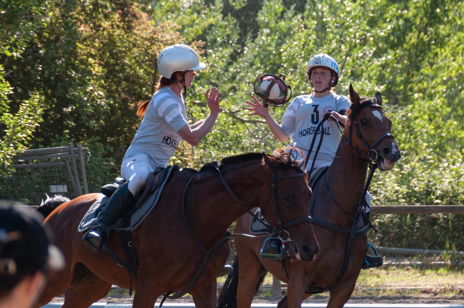 Horseball, adrenalina e spettacolo: ad Alessandria termina la seconda tappa del Campionato Italiano 2025 3 d2690613 5c85 4443 8cd4 eab153c1d011