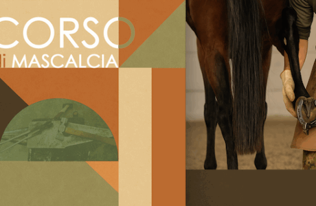 Aperte le iscrizioni al 37° corso di mascalcia del Centro Militare di equitazione si Montelibretti. 1 Scuola mascalcia 2025 esercito