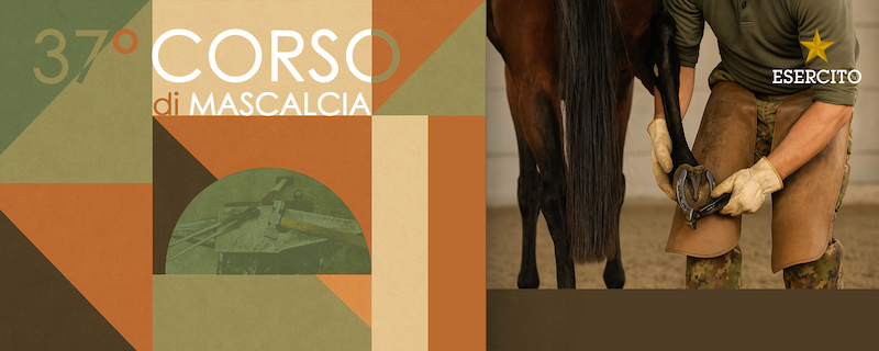 Scuola mascalcia 2025 esercito