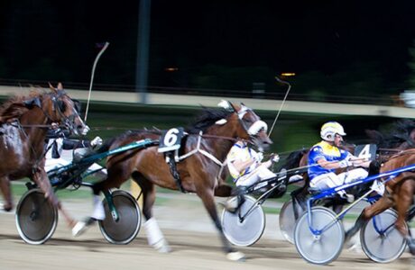 ippodromo ghirlandina