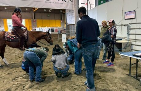 L’Italia del Reining punta al Mondiale: ecco i convocati per il Raduno di Selezione Federale. 1 L’Italia del Reining punta al Mondiale: ecco i convocati per il Raduno di Selezione Federale