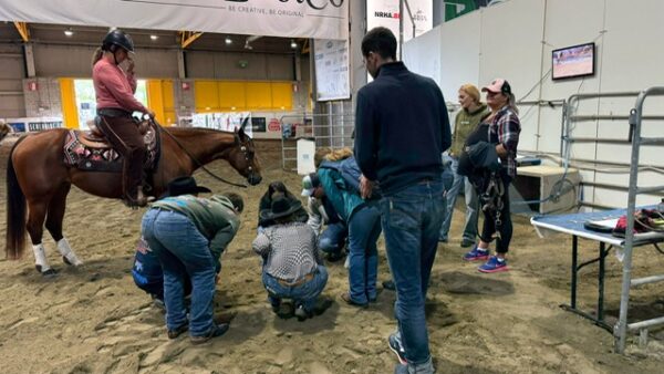 L’Italia del Reining punta al Mondiale: ecco i convocati per il Raduno di Selezione Federale. 35 L’Italia del Reining punta al Mondiale: ecco i convocati per il Raduno di Selezione Federale
