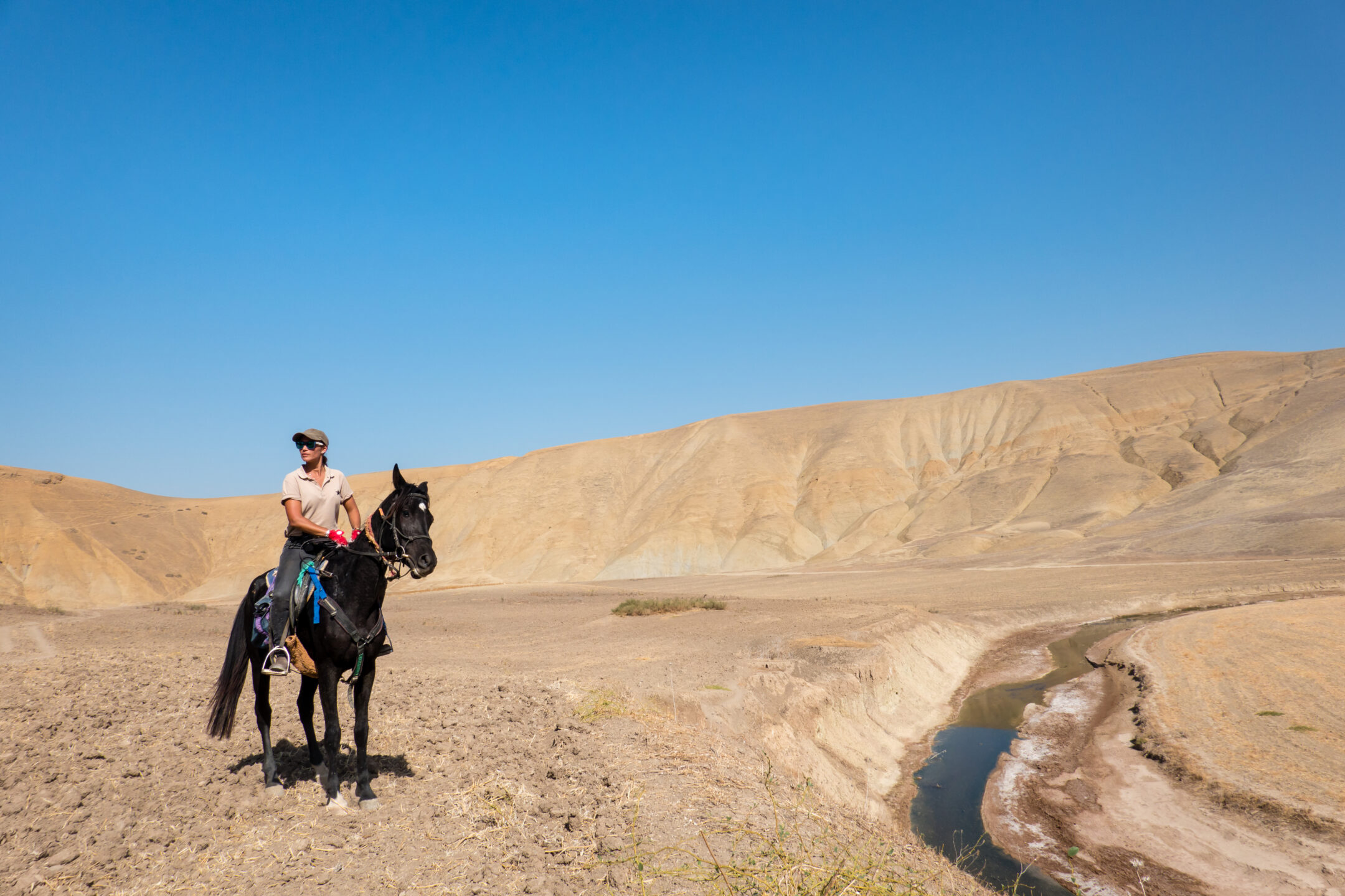 Horse Voyage: il mondo a cavallo, con la firma di Sara Giavarini 3 Horse Voyage