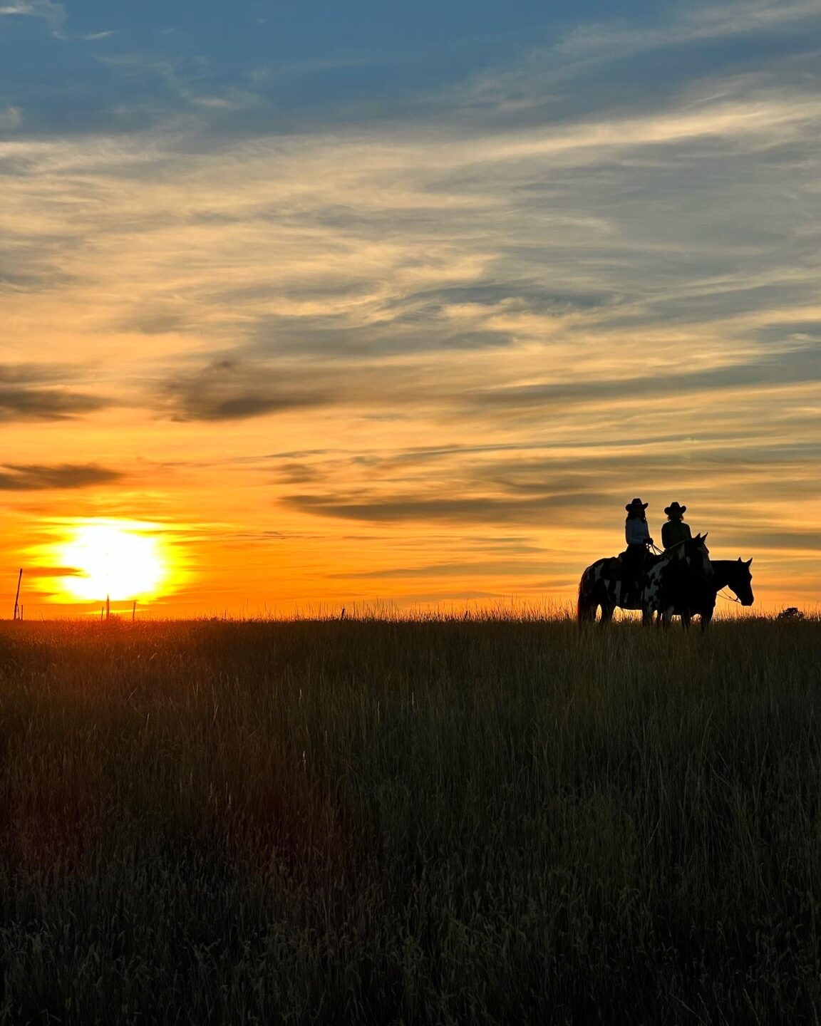 Horse Voyage: il mondo a cavallo, con la firma di Sara Giavarini 1 Horse Voyage