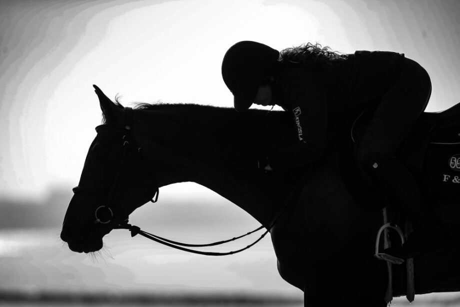 Il cavallo può imparare fino a 100 comandi diversi. 2 sechi mezzo