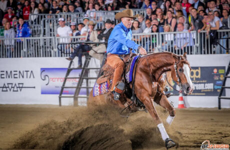 Tutti gli occhi puntati su Cremona per il 2025 NRHA European Futurity Million Dollar Reining. 1 Tutti gli occhi puntati su Cremona per il 2025 NRHA European Futurity Million Dollar Reining