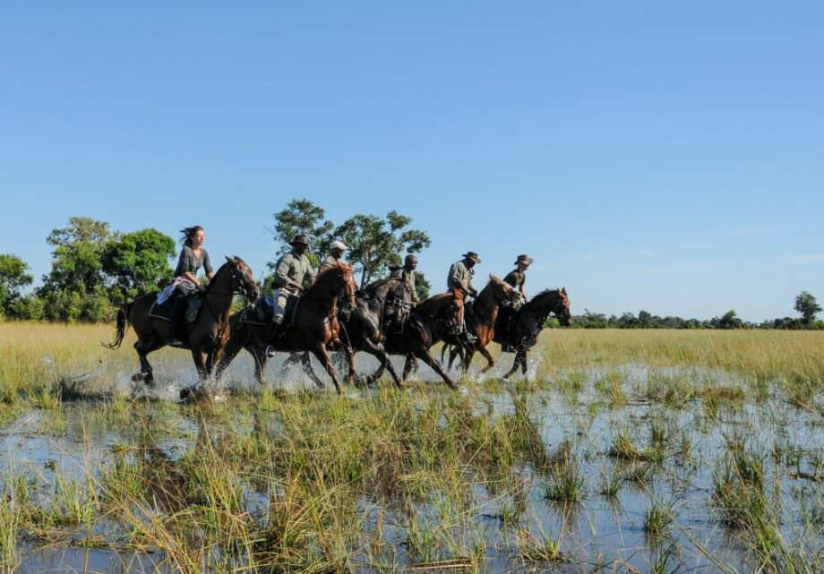 Estate “SELVAGGIA” a cavallo: 5 idee per un safari indimenticabile tra natura, avventura e libertà. 3 viaggi 3