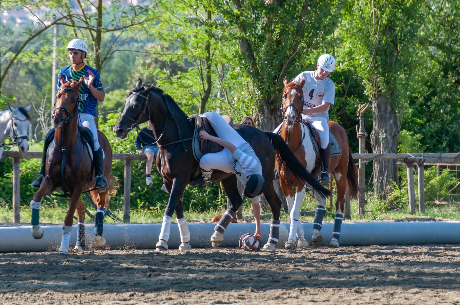 Termina il Campionato Italiano Senior Misto di Horseball 2025: dominano il Circolo di Novi-Mistral e La Saluzzese 4 1d75debe 0c8a 4b8b 96c9 9356a1918197