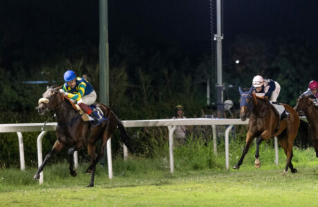 Riparte la stagione estiva all’Ippodromo Caprilli 1 Corse all'ippodromo Caprilli di Livorno, Blu War in azione