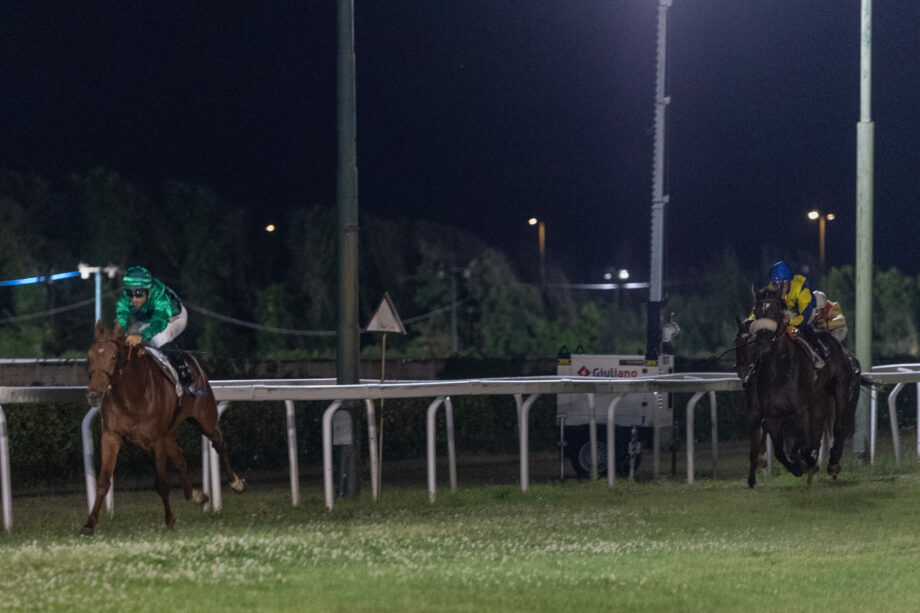 Ippodromo Federico Caprilli: le corse di giovedì 19 giugno 2 20250619 vento di sicilia