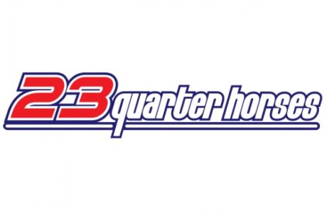 23 quarter horse