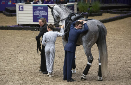 Villasanta accoglie il CVI di qualificazione alla FEI World Cup di Volteggio 1 52276507999 f5a7854fb9 k
