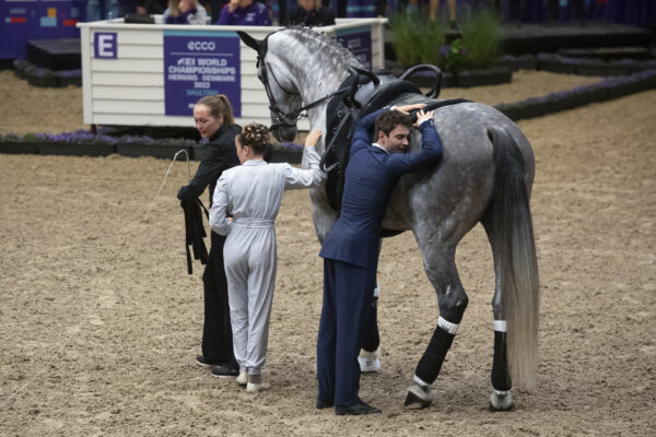 Villasanta accoglie il CVI di qualificazione alla FEI World Cup di Volteggio 34 52276507999 f5a7854fb9 k