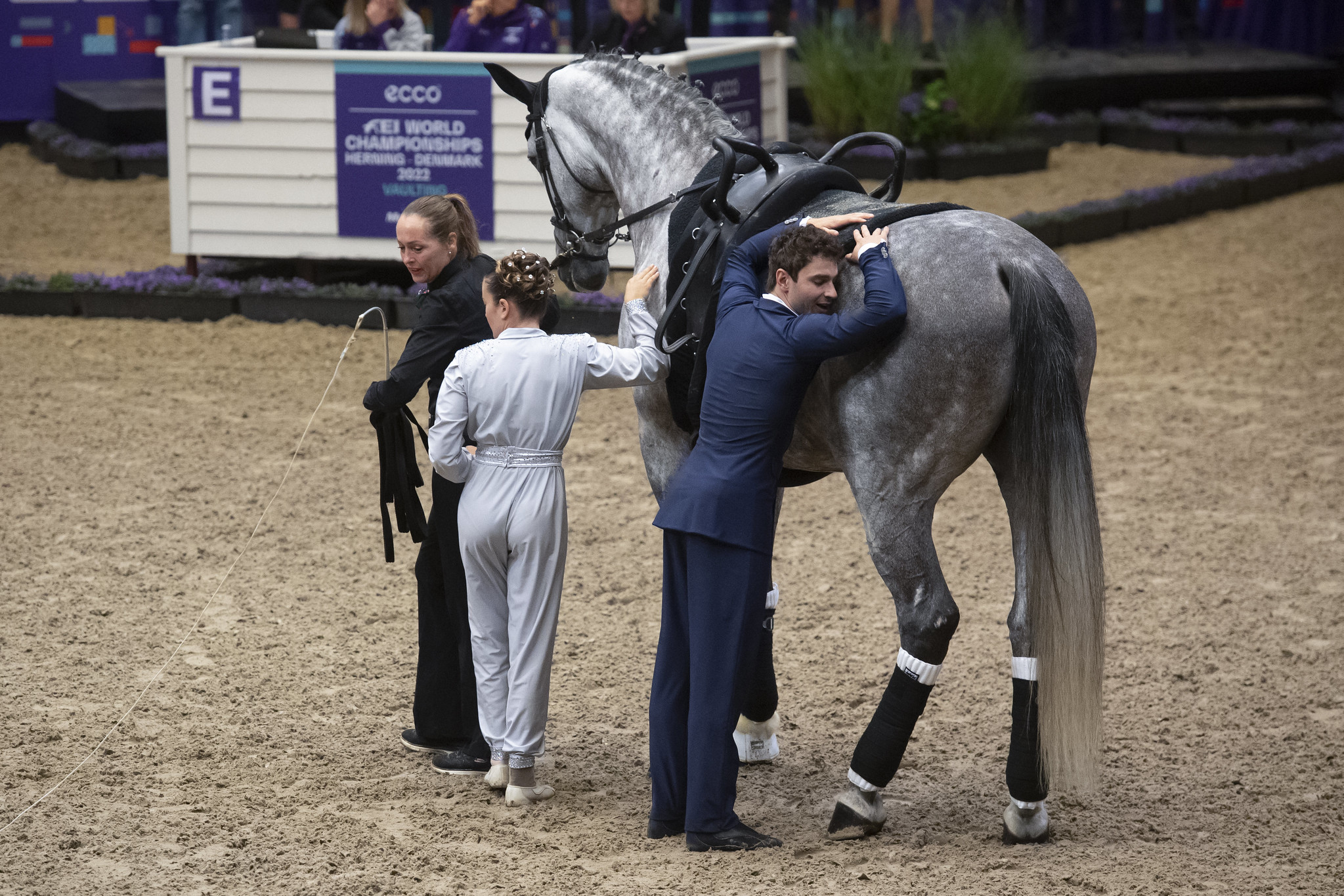 Villasanta accoglie il CVI di qualificazione alla FEI World Cup di Volteggio 1 52276507999 f5a7854fb9 k