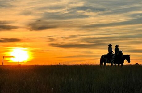 Una settimana da cowboy: la vacanza a cavallo che hai sempre sognato. Il grande West americano.