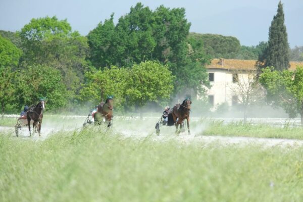 Rassegna del cavallo trottatore