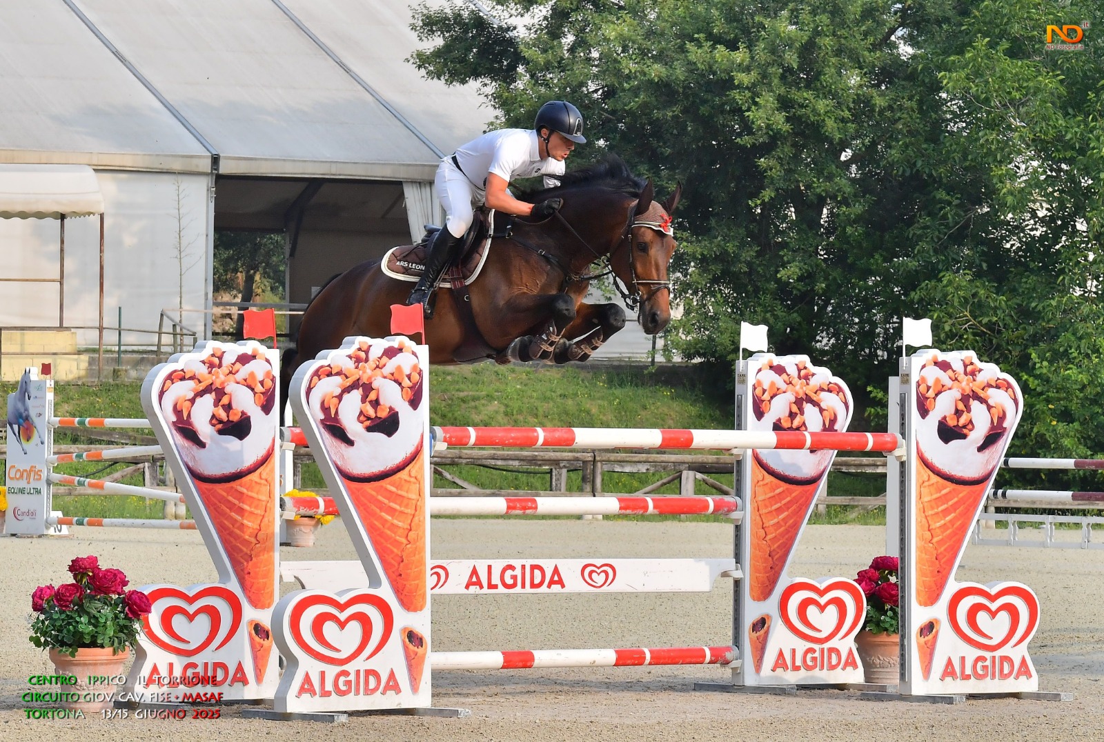 Alessandro Colombo cat 7 anni circuito FISE cavalli giovani Avantea