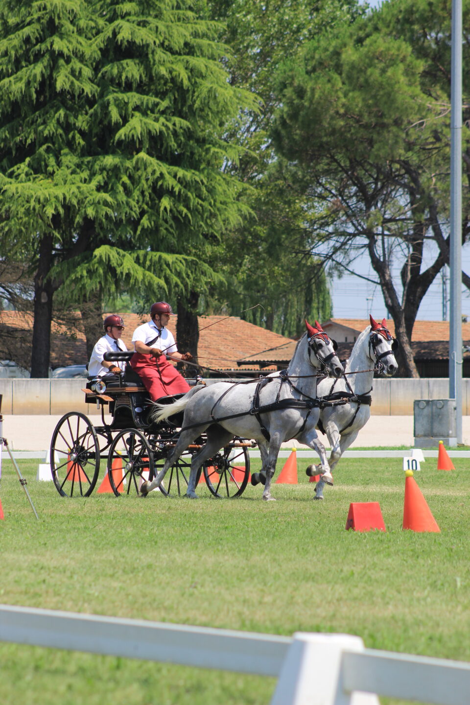 Campionato Italiano Combinata di Attacchi 2025, trionfa la Lombardia nella Coppa delle Regioni 3 Campionato italiano di Attacchi - Coppa delle regioni di Attacchi 2025 (14)