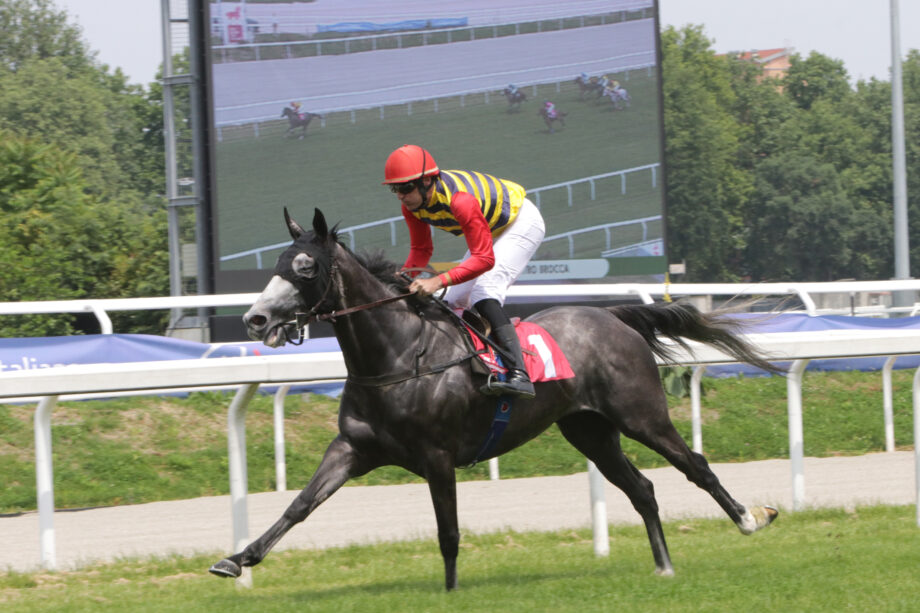 Corsa1 PREMIO PIETRO BROCCA